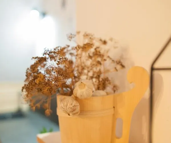 Przystanek * זקופאנה